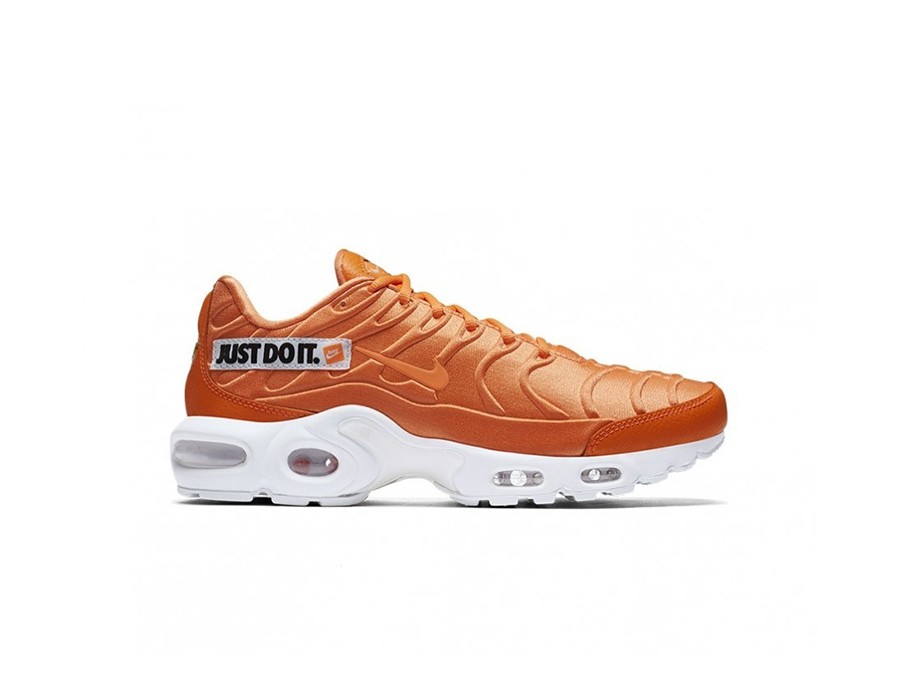 nike air max plus tn mujer marron