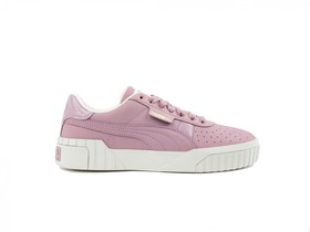 puma cali elderberry