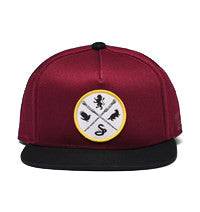 GORRA VANS HARRY POTTER SNAPBACK MAHONIOWY