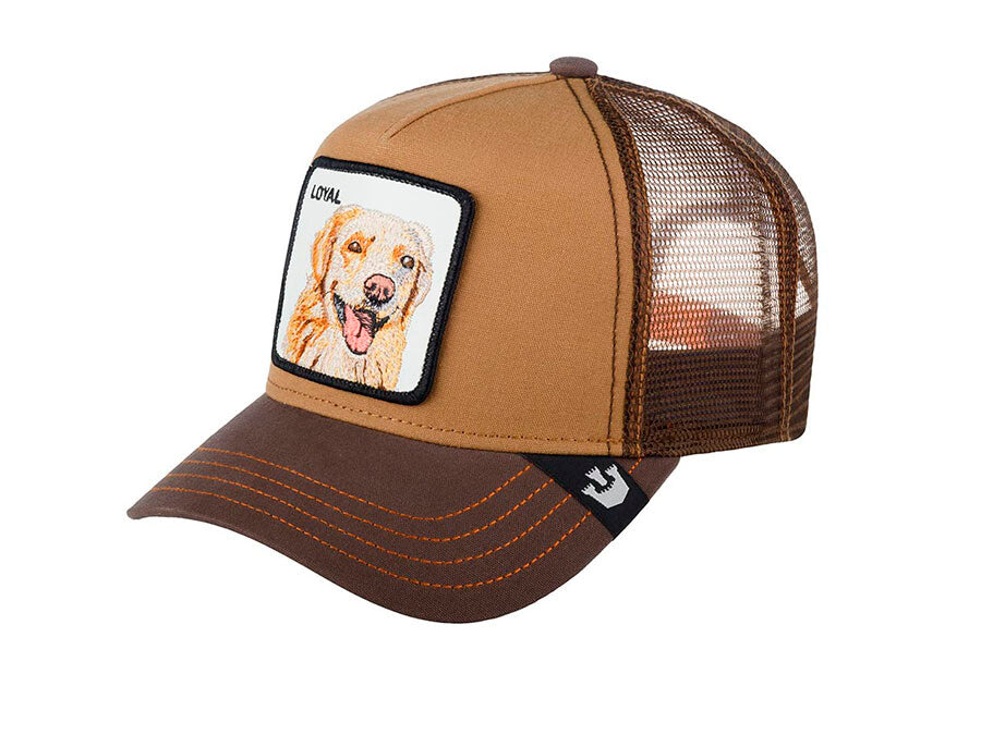 GORRA GOORIN BROS THE LOYAL DOG