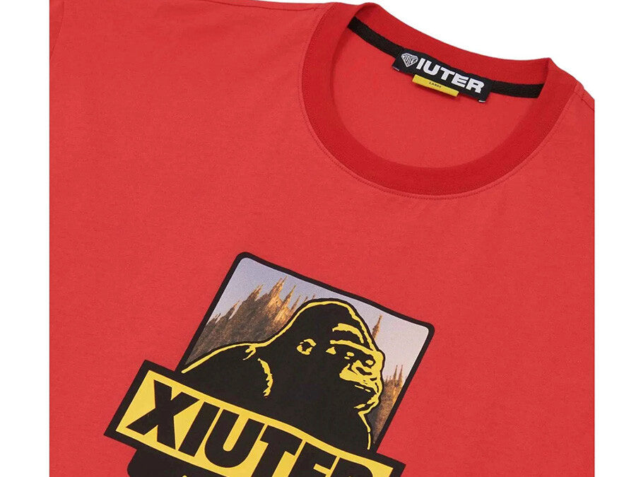 CAMISETA IUTER X XLARGE CRIMSON