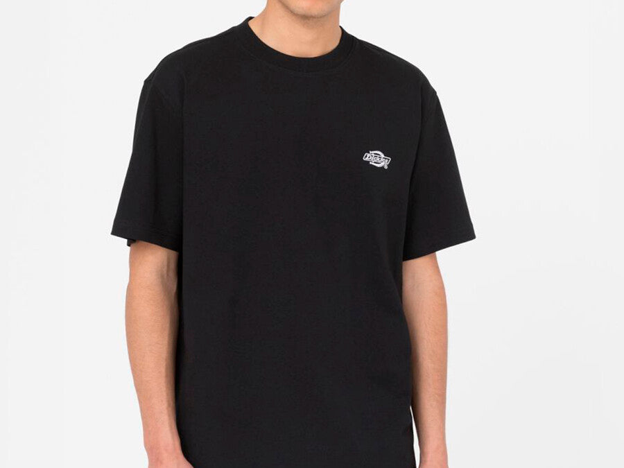 CAMISETA DICKIES SUMMERDALE TEE SS BLACK