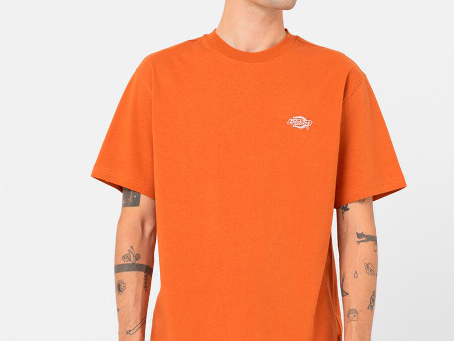 CAMISETA DICKIES SUMMERDALE TEE SS ORANGE