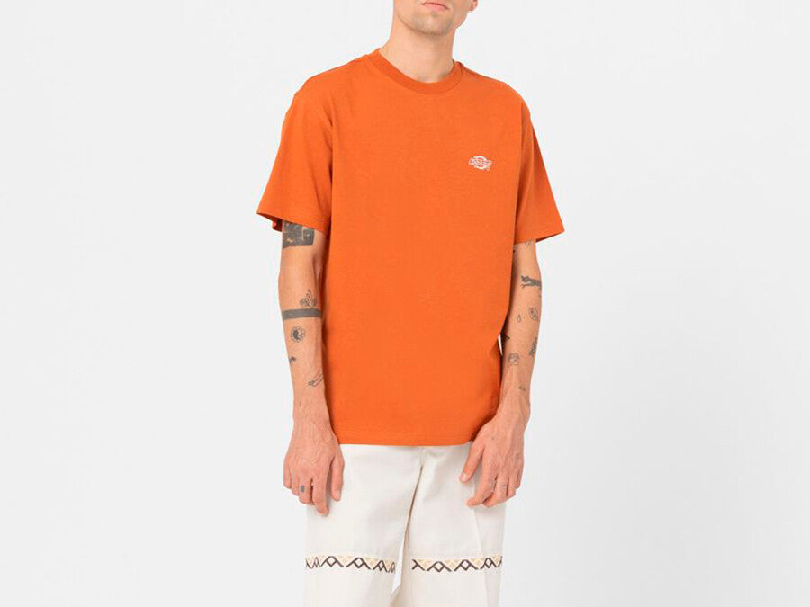 CAMISETA DICKIES SUMMERDALE TEE SS ORANGE