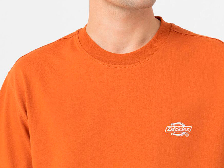 CAMISETA DICKIES SUMMERDALE TEE SS ORANGE
