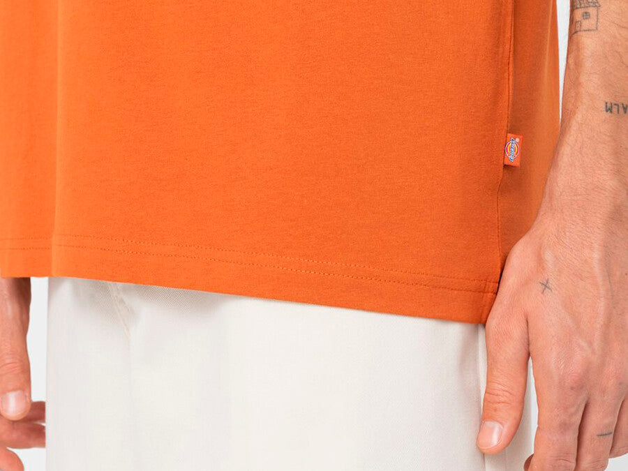 CAMISETA DICKIES SUMMERDALE TEE SS ORANGE
