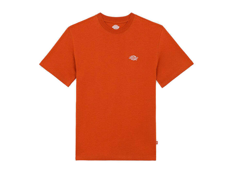 CAMISETA DICKIES SUMMERDALE TEE SS ORANGE