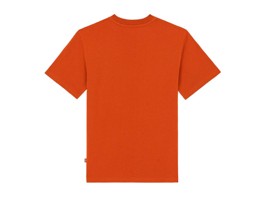 CAMISETA DICKIES SUMMERDALE TEE SS ORANGE