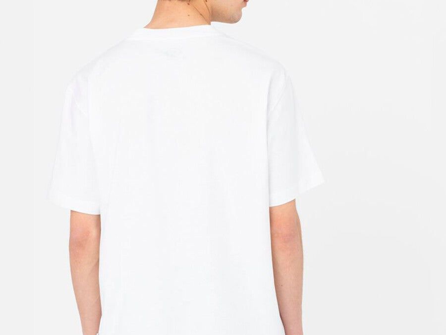 CAMISETA DICKIES SUMMERDALE TEE SS WHITE
