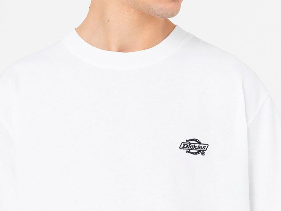 CAMISETA DICKIES SUMMERDALE TEE SS WHITE