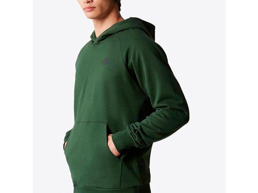 SUDADERA THE NORTH FACE RAGLAN REDBOX HOODIE - EU