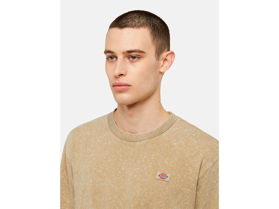 CAMISETA DICKIES NEWINGTON TEE SS BEIGE