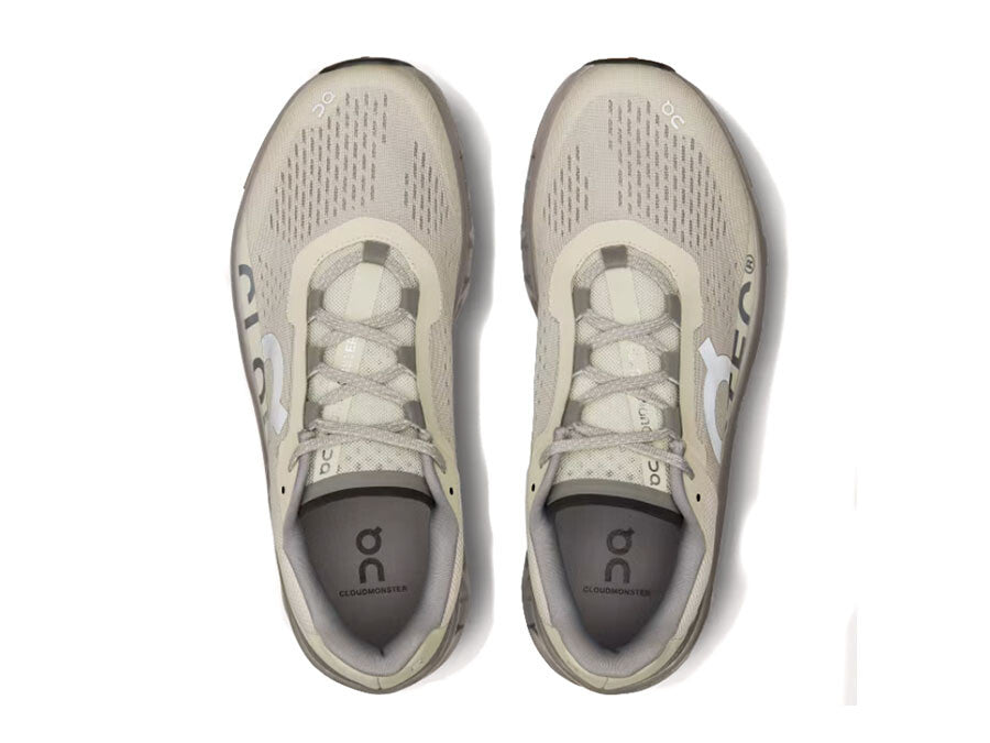 ON CLOUDMONSTER 1 ICE ALLOY