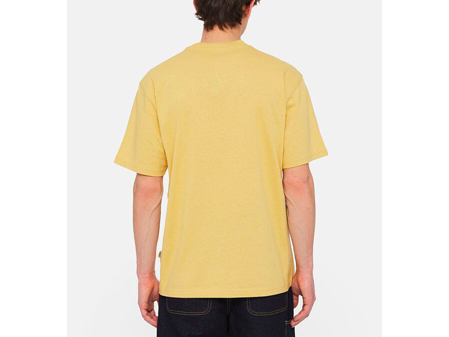 CAMISETA DICKIES LURAY POCKET TEE SS FALL LEAF
