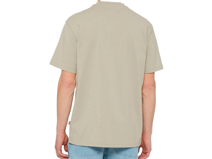 CAMISETA DICKIES SUMMERDALE TEE SS BEIGE