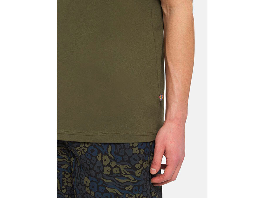 CAMISETA DICKIES SUMMERDALE TEE SS VERDES