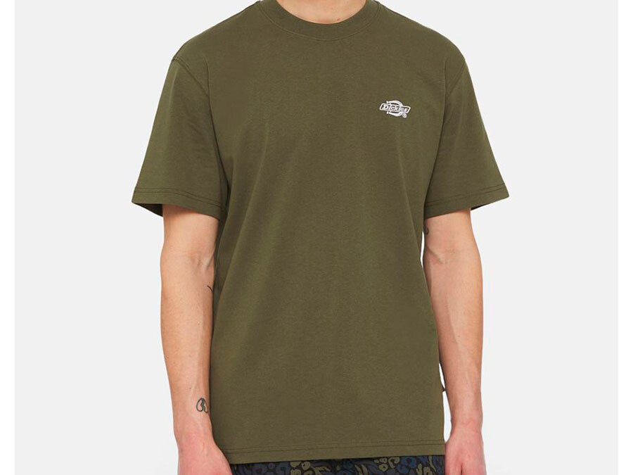CAMISETA DICKIES SUMMERDALE TEE SS VERDES