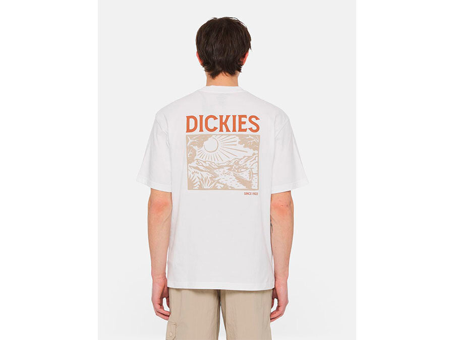 CAMISETA DICKIES PATRICK SPRINGS TEE SS BLANCA