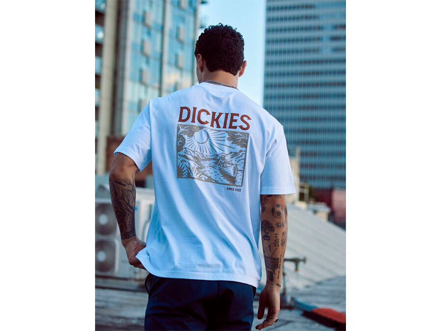 CAMISETA DICKIES PATRICK SPRINGS TEE SS BLANCA