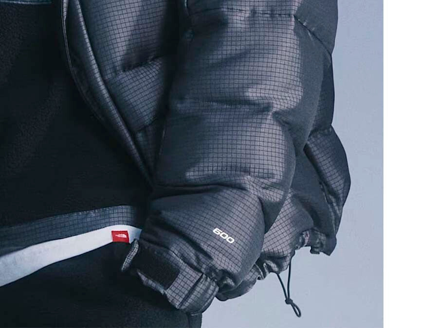 CHAQUETA TNF M HMLYN 30 ANNIVERSARY PARKA MOONSTON