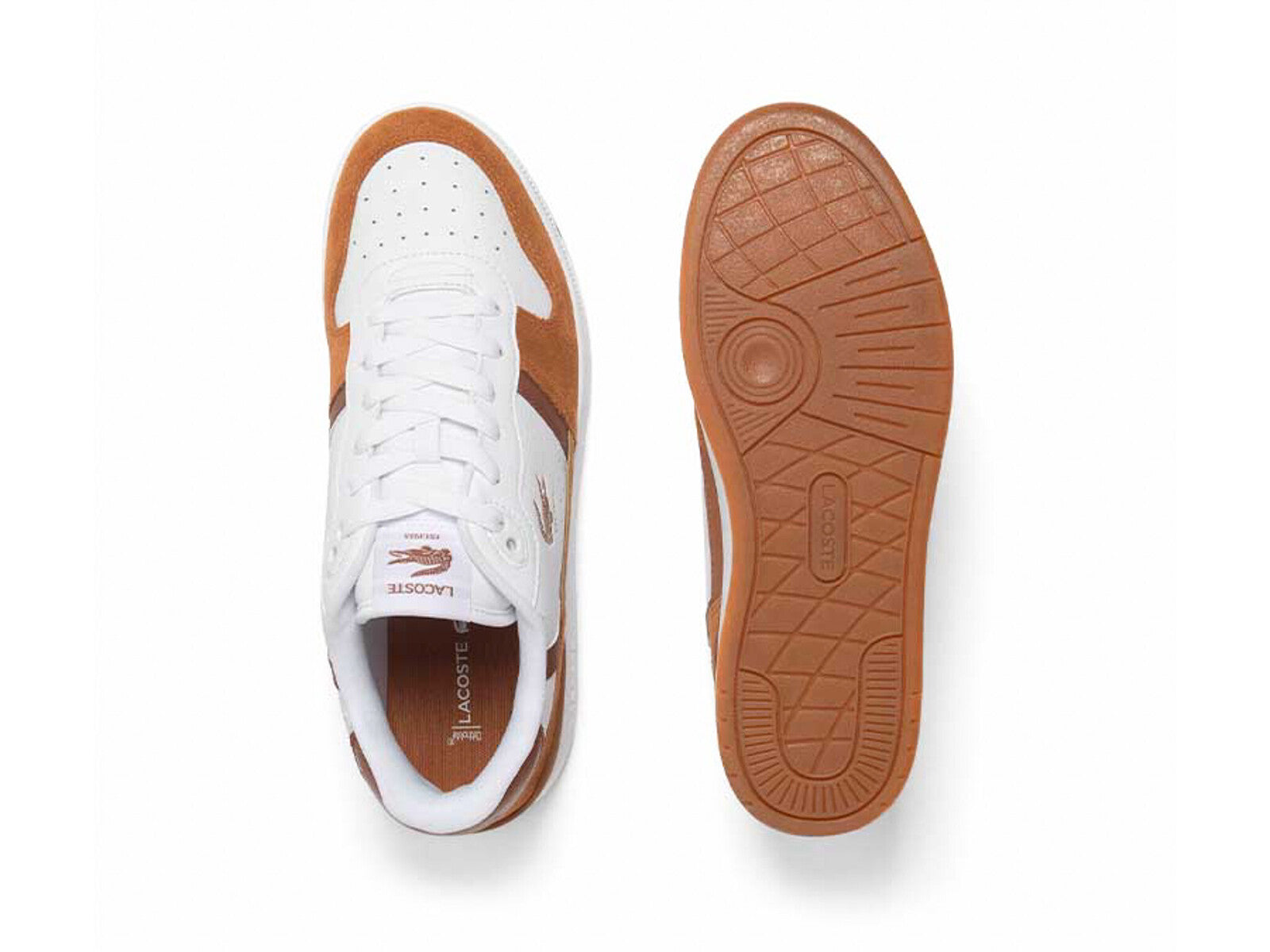 LACOSTE T-CLIP WHITE BROWN