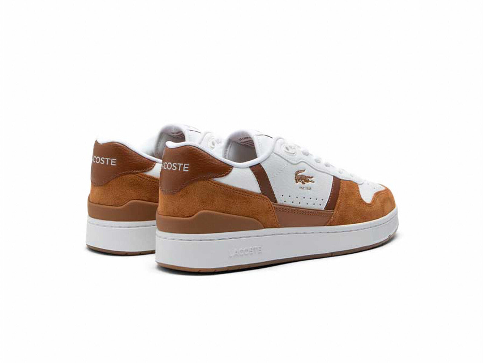 LACOSTE T-CLIP WHITE BROWN
