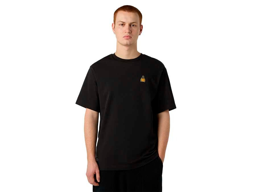 CAMISETA TNF U ICON MOUNTAIN JACKET RELAXED TEE BL