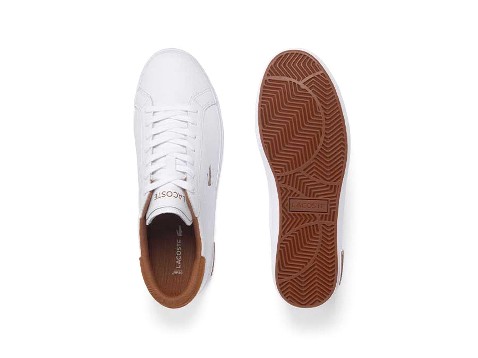 LACOSTE POWERCOURT WHITE BROWN
