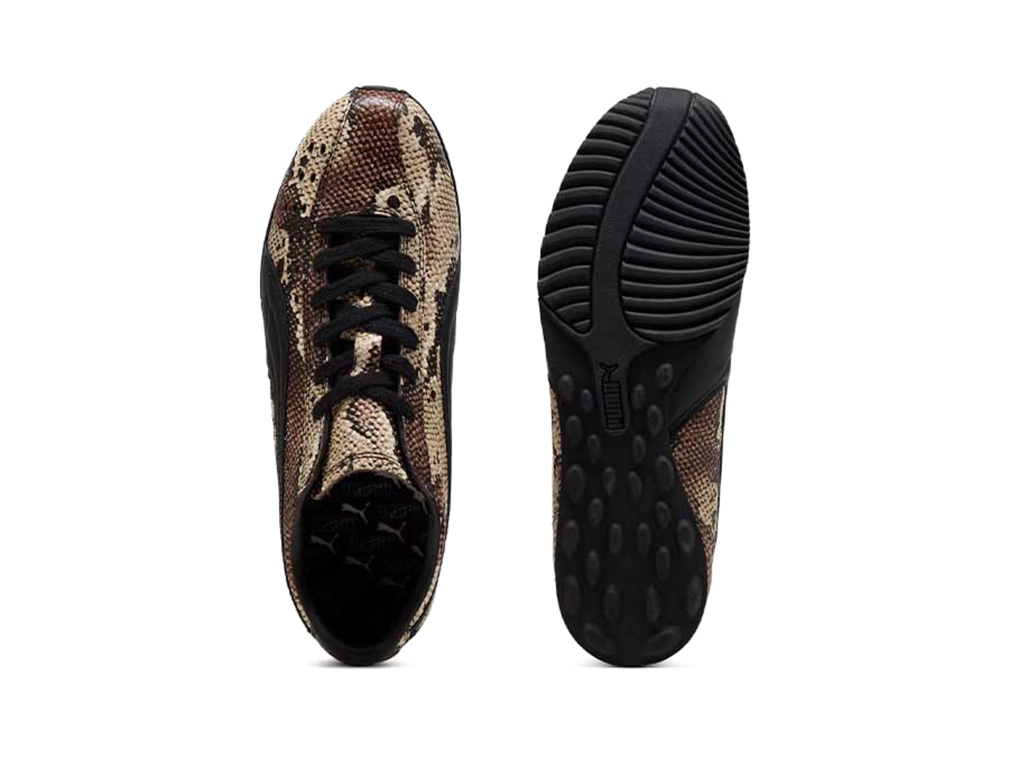 Puma Sprint Snake