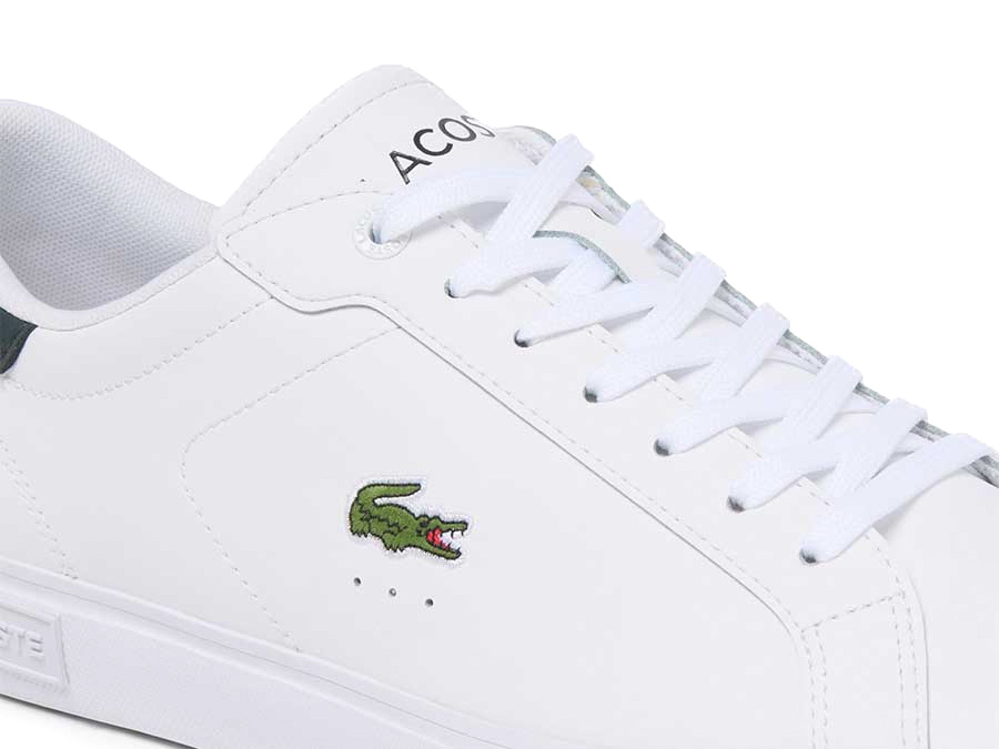 Lacoste Powercourt White Dark Green