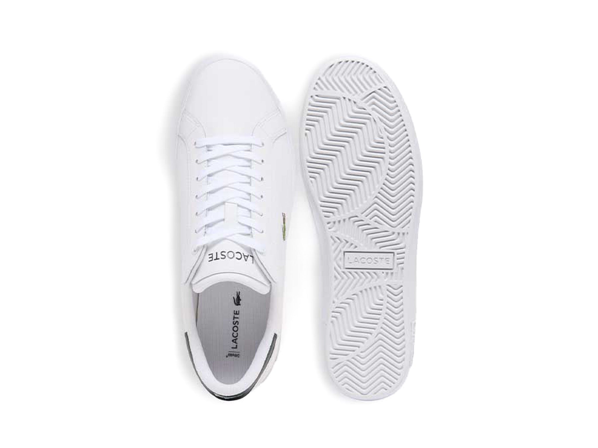 Lacoste Powercourt White Dark Green
