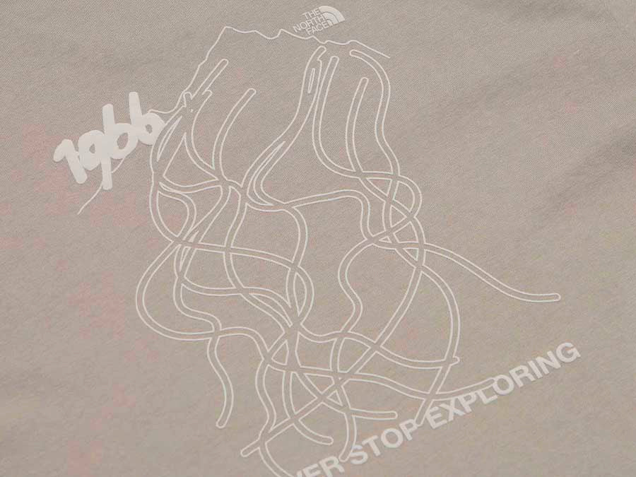 Camiseta TNF U NSE Slopes RLX SS Tee-graphic Stone